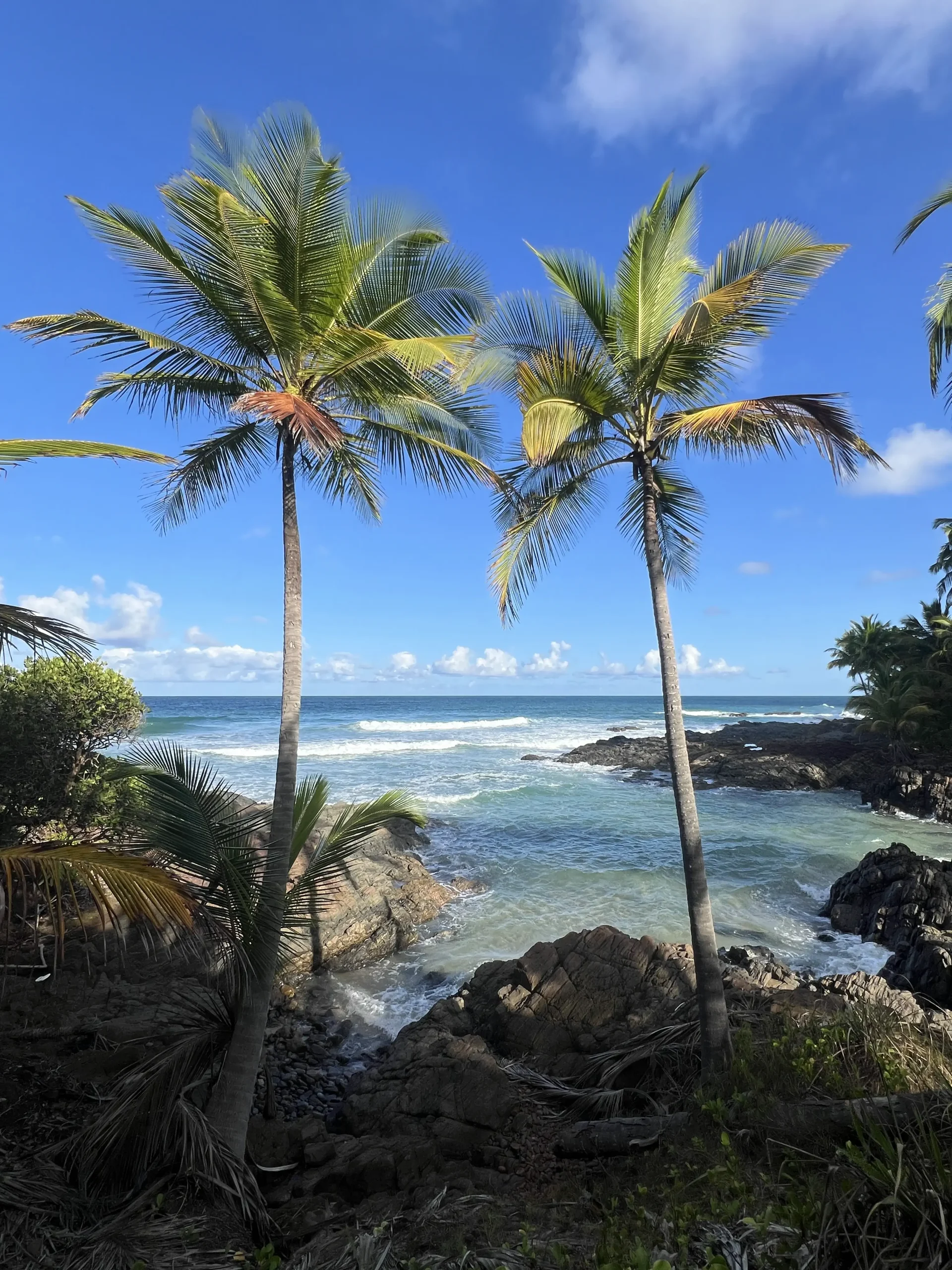 Praia da Camboinha